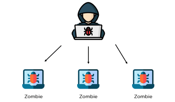 BOTNET LESSONS